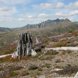 Mount St. Helens (July 2007)
